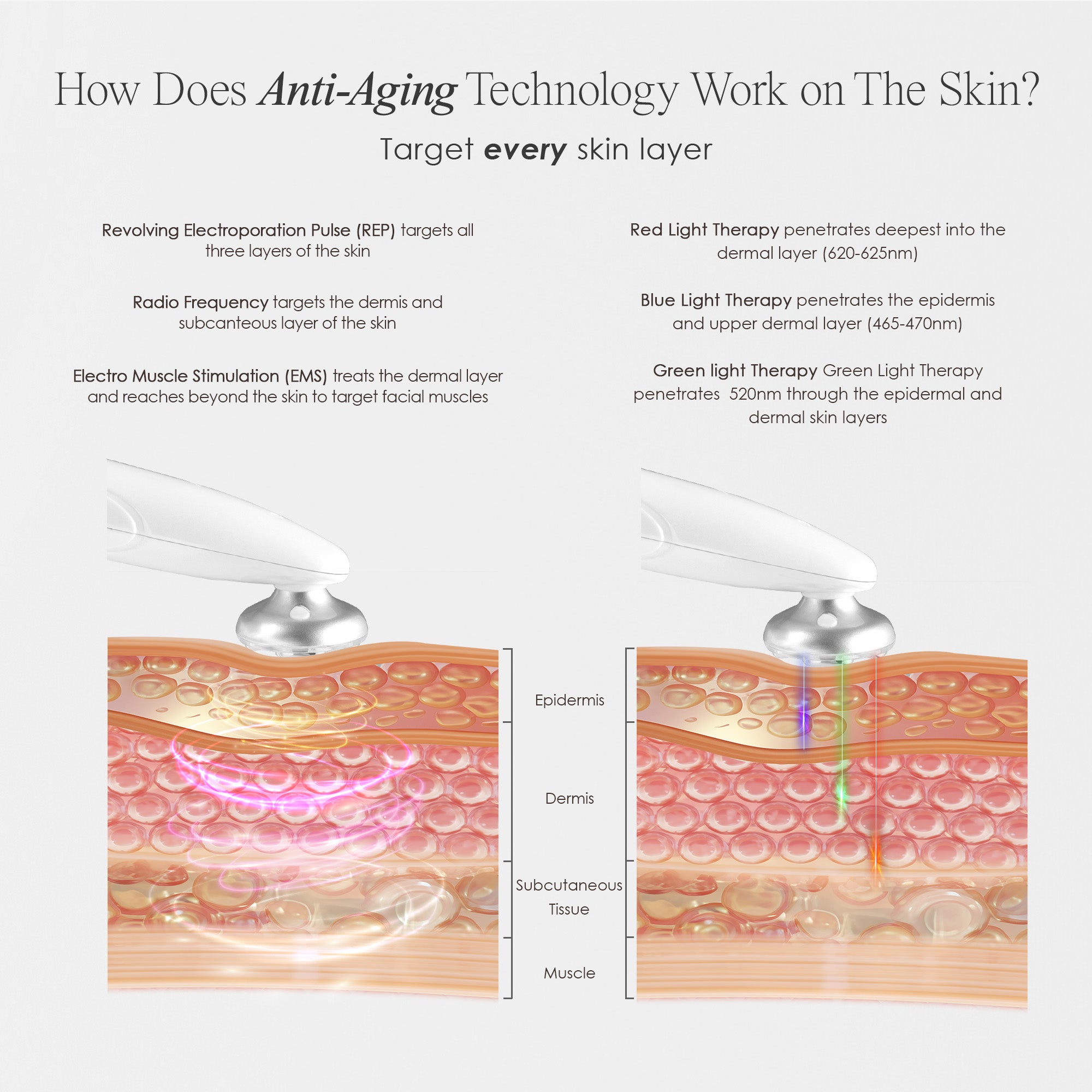 MesoLift | Mesotherapy Wonder Wand - Project E Beauty